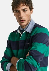 Groen en marineblauw gestreepte longsleeve polo met een lichtblauwe kraag, voorzien van een klein logo op de borst en een knoopsluiting.