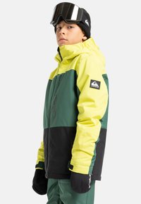 Junge trägt eine grün-gelbe und schwarze Winterjacke, schwarze Handschuhe, eine schwarze Strickmütze und Skibrille, leicht seitwärts auf hellem Hintergrund gerichtet.