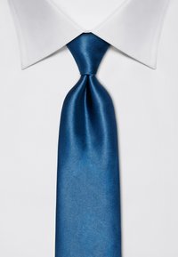 Vincenzo Boretti UNI - Stropdas - blau