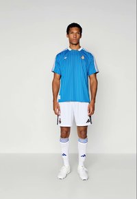 Maglia sportiva a strisce blu con pantaloni corti bianchi, accentuata da strisce nere e blu, e calze da calcio bianche. Emblema della squadra esposto sulla maglietta.
