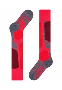 FALKE SK COMFORT - Kniekousen - rose