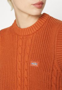 Orange knitted sweater with a ribbed crew neckline and cable patterns, featuring a small Dickies logo patch on the front.