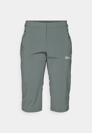 Šedé venkovní kraťasy se zipovou kapsou, rovný střih a lehký, prodyšný materiál s hladkým povrchem.