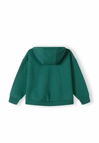 Sweat-shirt à capuche vert avec un design court, des poignets et un ourlet côtelés. Fabriqué à partir d'un tissu doux et texturé ; présente un style minimaliste.