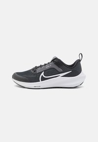 Nike Performance Zapatillas running asfalto - black