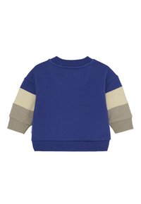 Sweatshirt bleu pour tout-petit avec des manches en blocs de couleurs beige et taupe, des poignets côtelés et une encolure en crew, vu de dos.