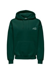 Dark green hooded sweatshirt with front kangaroo pocket and white "Lo Fi Lounge" text on left chest.