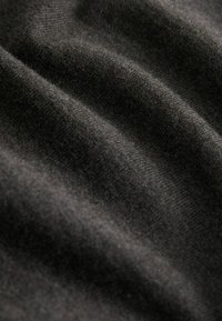 Next SHORT SLEEVE REGULAR FIT - Poloshirts - dark stone