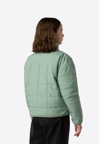 Mintgrøn dunjakke med høj krave, quiltet tekstur og elastiske manchetter, vist bagfra mod en ensfarvet baggrund.