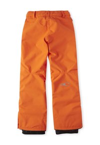 O'Neill ANVIL - Friluftsbyxor - puffin's bill