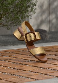 Χρυσό σανδάλι ανοιχτού δακτύλου με χοντρό τακούνι και μεγάλο τοκά από κέλυφος χελώνας, εκτεθειμένο σε επιφάνεια ξύλινου πλακιδίου σε εξωτερικό χώρο.