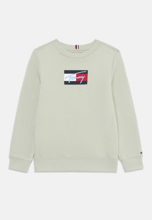 Lys grøn sweatshirt med rund hals, der har et farverigt rektangulært logo-patch med blå, rød og hvide accenter på forsiden.