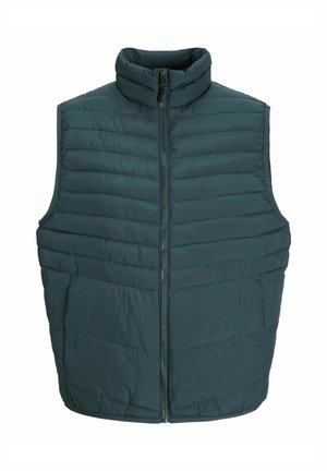 Tumed roheline polsterdatud vest kõrge kraega ja ees oleva tõmblukuga. Omab vertikaalset tikandimustrit ja ei oma varrukaid, mistõttu on seda lihtne kihitada.