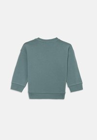 Green sweatshirt with a crew neck, long sleeves, ribbed cuffs, and hem. Soft fabric with a smooth texture, featuring no visible patterns or graphics.