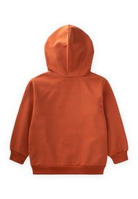 Felpa arancione con cappuccio, dalla texture liscia, con polsini e vita a coste. La vista posteriore presenta una cucitura centrale sul cappuccio.