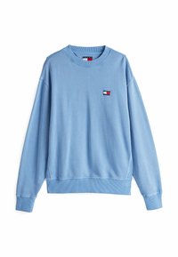 Jasnoniebieski sweter z okrągłym dekoltem wykonany z miękkiego materiału, z małą naszywką z logo oraz prążkowanymi mankietami i dołem. Luźny, swobodny fason.