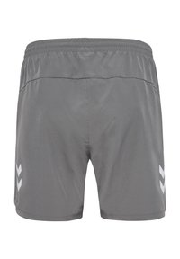 Grijze sportshorts met een elastische tailleband, voorzien van witte chevronaccenten aan de zijkanten en een gladde, lichte stoftextuur.