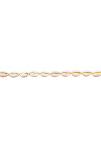 Eine mit Muscheln verzierte Kette mit unregelmäßig geformten, länglichen Muscheln in cremefarbener Farbe, die mit einem dünnen goldenen Draht für zusätzliche Details aufgereiht sind.