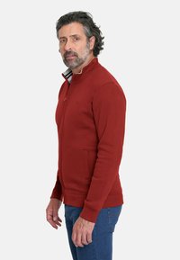 Sudadera roja con cremallera y cuello alto, hecha de tela suave. Cuenta con bolsillos laterales y un cuello interior en contraste con rayas.