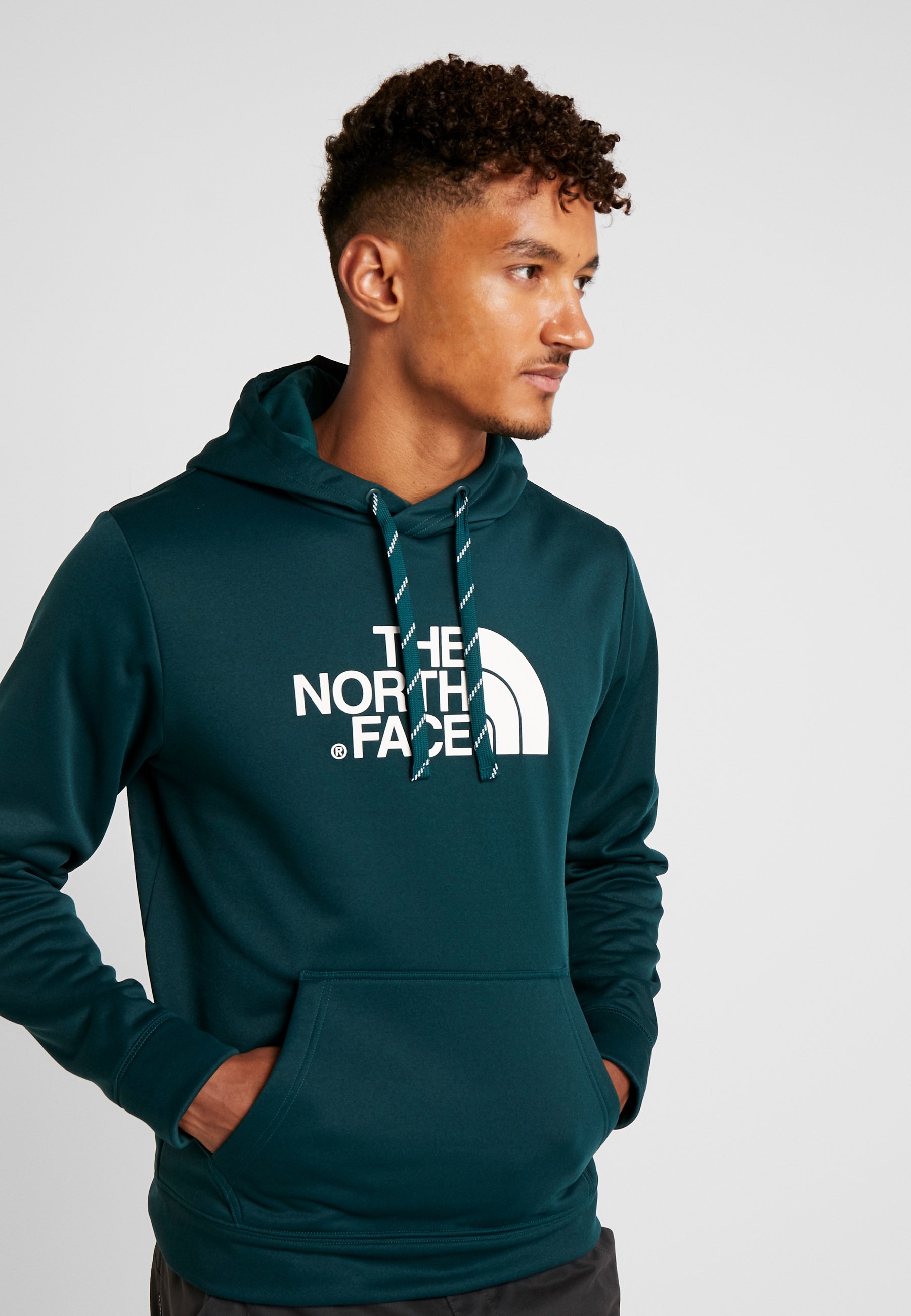 the north face surgent hoodie