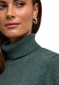 Dunkelgrüner Rollkragenpullover aus weichem, strukturiertem Stoff, mit einem gerippten Kragen und glatter Oberfläche. Silberne Creolen betonen den Look.