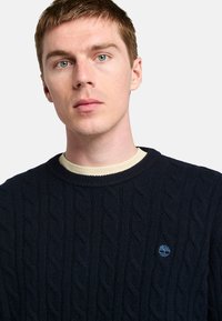 Pullover in maglia a treccia blu navy con collo a girocostato. Presenta un piccolo logo blu sul petto. Realizzato in un tessuto a maglia testurizzato.