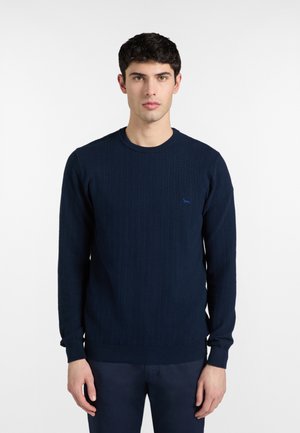 Giovane uomo con capelli corti e scuri che indossa un maglione blu navy testurizzato e pantaloni abbinati, in piedi davanti a uno sfondo bianco uniforme.