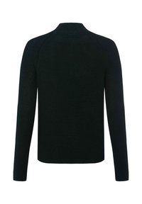 Dunkelgrüner Strickpullover mit langen Ärmeln, gerippten Bündchen und hohem Kragen. Strukturierter Stoff mit einem klaren, schlichten Rückendesign.