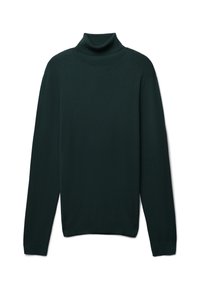 DOLCEVITA TINTA UNITA - Strickpullover - verde bosco