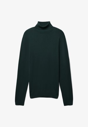 Maglione a collo alto di un verde scuro realizzato in un materiale morbido e lavorato a maglia. Presenta maniche lunghe e un colletto e polsini a coste.