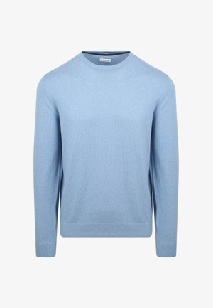 Helles blaues Sweatshirt aus weichem Stoff, mit Rundhalsausschnitt, langen Ärmeln und gerippten Bündchen und Saum. Einfaches, einfarbiges Design.