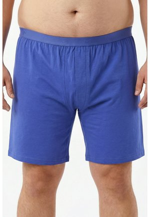 Boxers - azure