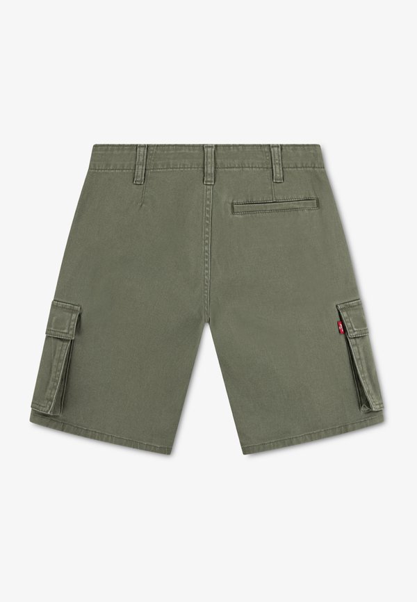TRADITIONAL  - Cargo trousers2