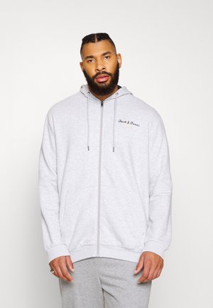JCOBERG ZIP HOOD - Zip-up sweatshirt - light grey