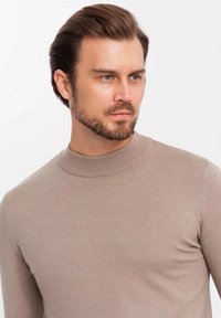 Beige, körpernaher Strickpullover mit hohem Kragen und langen Ärmeln. Glatte Textur und minimalistisches Design, ohne sichtbare Muster oder Akzente.