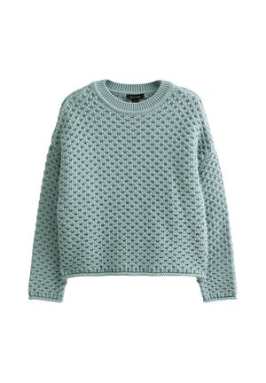 Ljusgrön stickad tröja med ett strukturerat mönster, rund halsringning och långa ärmar. Har en avslappnad passform och ribbade muddar.