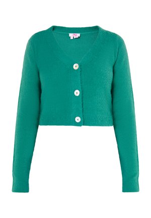 BIANY - Strickjacke - grün