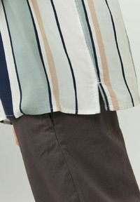 Gestreiftes Hemd in hellen Farben mit dunkelblauen, beigen und grünen Streifen, mit seitlichem Schlitz und weicher Stofftextur, kombiniert mit dunkler Hose.