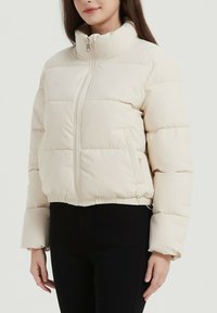 Doudoune crème avec un col montant, zipper à l'avant et ourlet élastique. Présente des coutures en panneaux et des poches latérales pour plus de fonctionnalité.