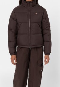 Dickies Zimní bunda - dark brown