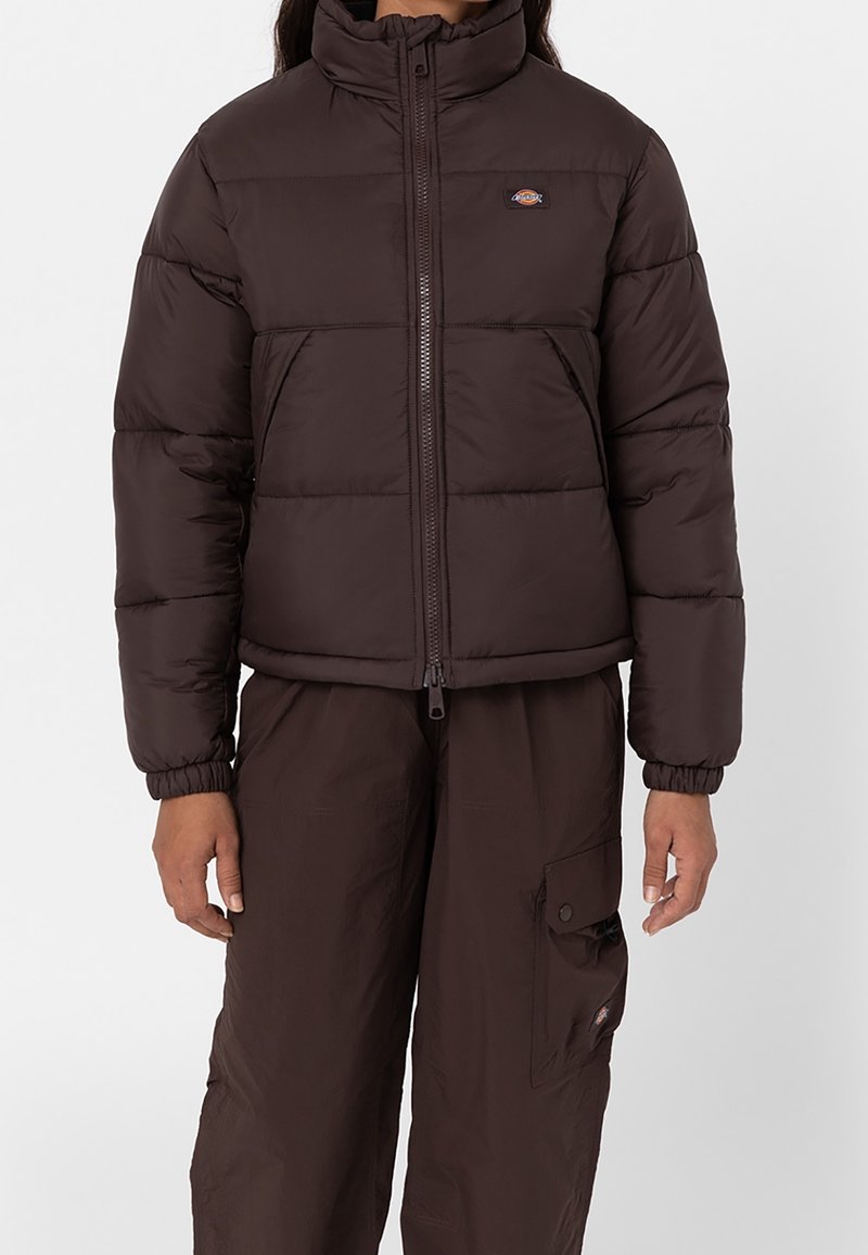 Dickies Zimní bunda - dark brown