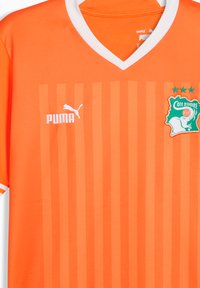 Maglia da calcio arancione con scollatura a V, motivo a righe verticali, dettagli bianchi, logo Puma e stemma della Costa d'Avorio con un elefante verde.