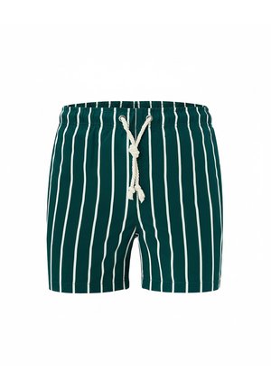 Dunkelgrüne Badeshorts mit weißen vertikalen Streifen und einem weißen Kordelzug, der an dem elastischen Bund zu einem Knoten gebunden ist.