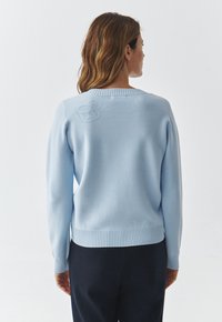 Pull en tricot bleu clair avec un ourlet et des poignets côtelés, présentant un subtil détail brodé sur le haut du dos. Texture douce, coupe décontractée.