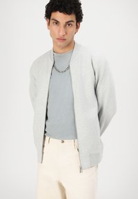 Light gray zip-up bomber jacket with raglan sleeves, worn over a blue-gray T-shirt, paired with cream-colored pants. Simple design, no patterns.