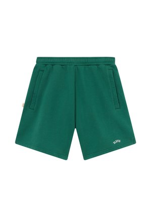 Pantalones cortos verdes con cintura elástica, bolsillos laterales y un pequeño texto blanco "BLKVIS" en la parte inferior de la pierna izquierda.
