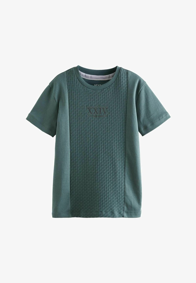 Next EMBROIDERY TEXTURED SHORT SLEEVE - REGULAR FIT - Trükipildiga T-särk - mineral