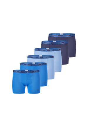 6ER PACK - Panty
