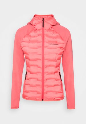ARGON HYBRID HOOD - Outdoor jacket - alpine flower