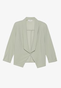 Blazer - light green